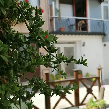 מלון Mudanya Otel 3*